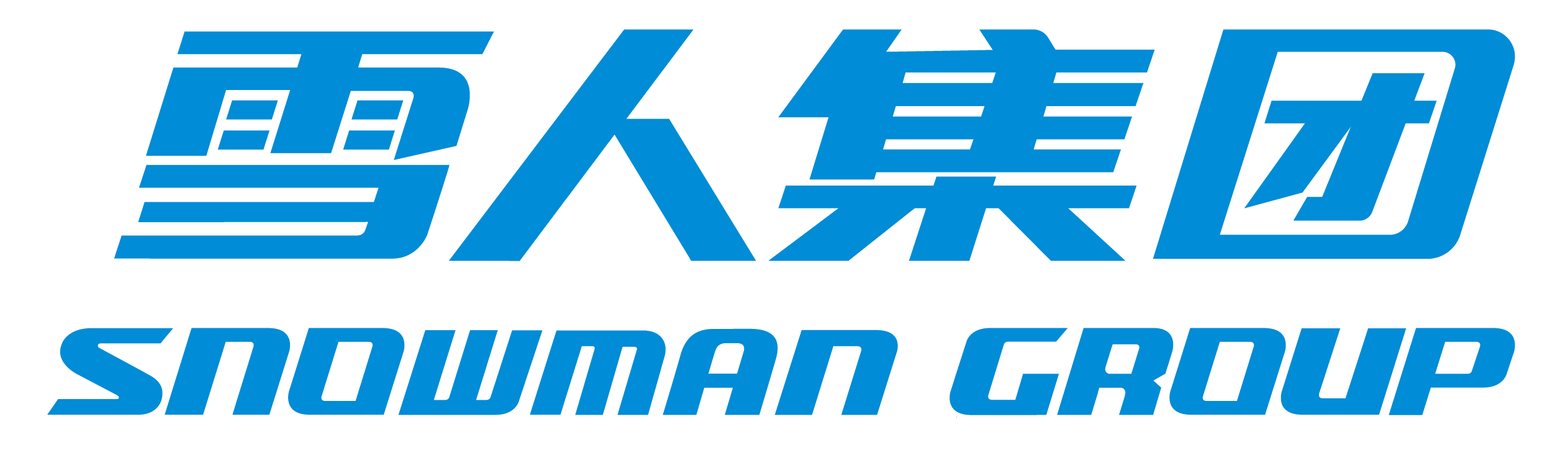pp电子股份